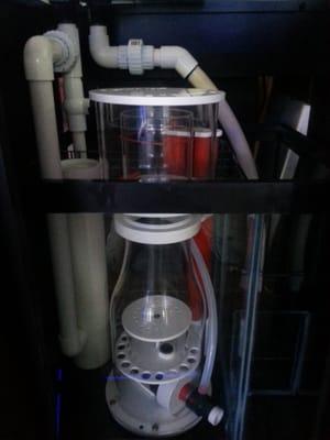 custom design filtration for any size aquarium