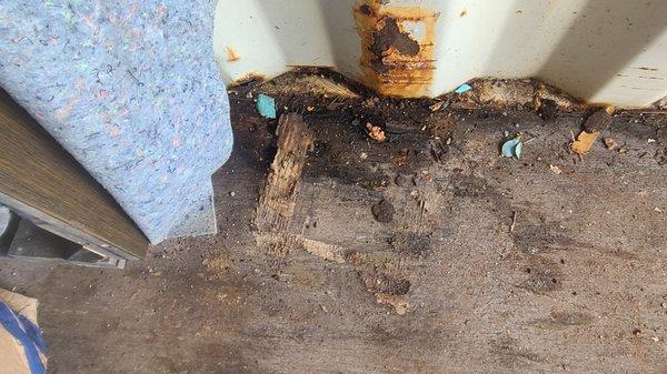 Wood rotting on floor, showing how much moisture is getting in the unit.