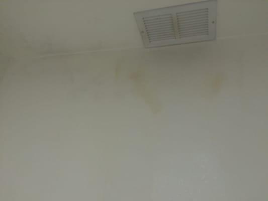 Mold all over the bathroom ceiling