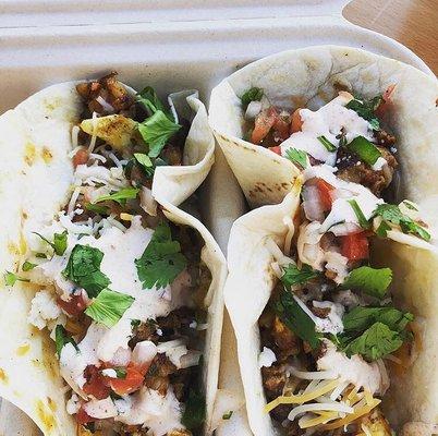 Delicious Tacos!