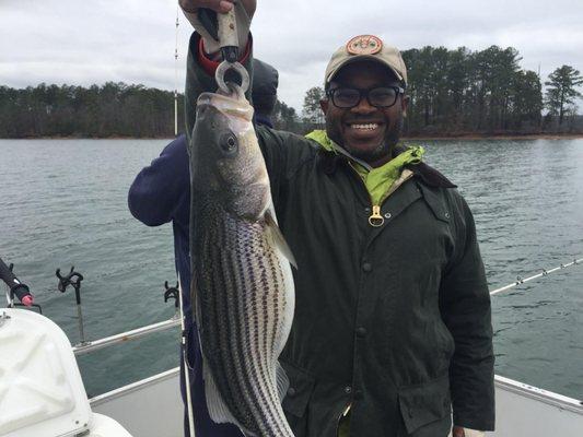 Clark's hill striped bass