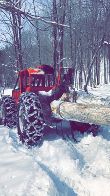 Lybeck's Timber Harvesting