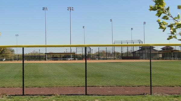 Eight Baseball Fields