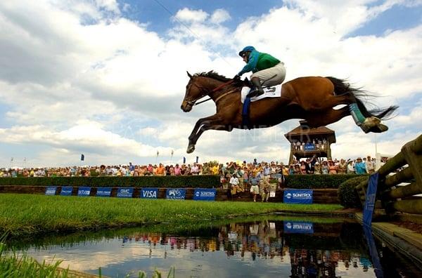 Queen�s Cup Steeplechase