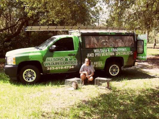 Allson's Wildlife Control