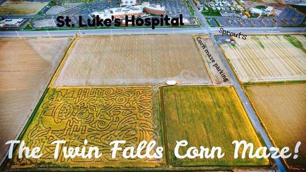 An aerial shot of the 2016 Twin Falls Corn Maze