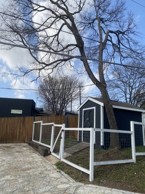 Tree Removal (After) *Mesquite