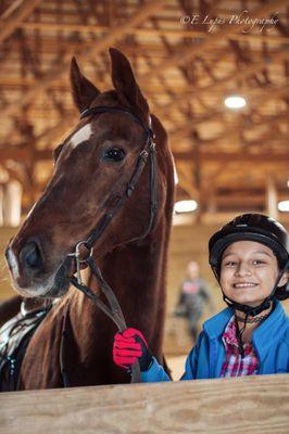 Four Oaks Farm & Stables