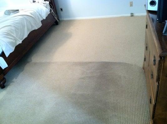 Saved another carpet.