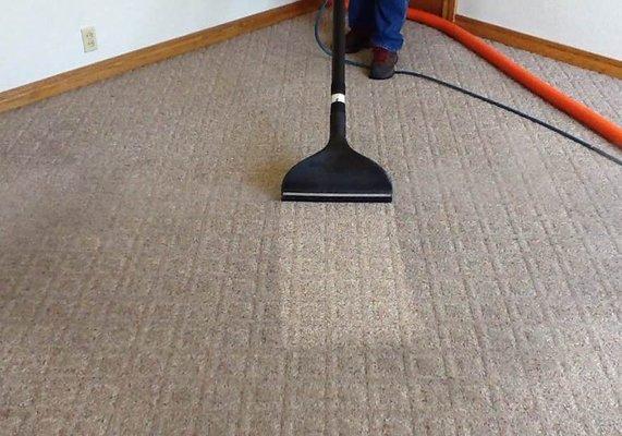 Professional Carpet Clean