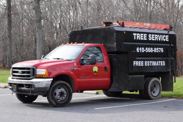 To the Top Tree Service