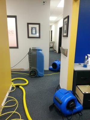 Drying a large office in Indianapolis. Water ran for 12 hours prior to our arrival.