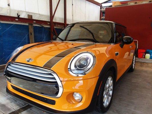 Polished up mini cooper! Gotta love the shine from an executive detail!