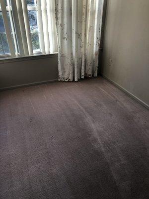 Carpet cleaning