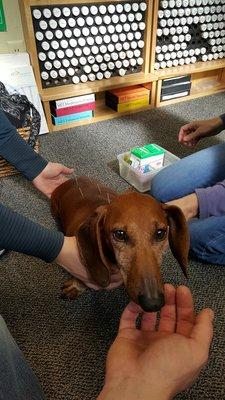 Charles at one of his first acupuncture appointments.