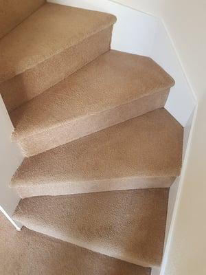 Quick Dry Carpet Cleaning