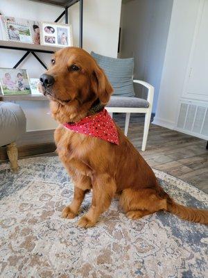 Our golden looks like he had a great spa day! Great staff & great service!