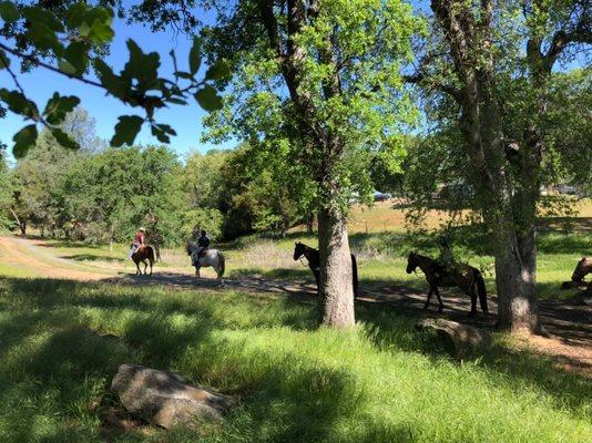 We offer guided trail rides May- October Weather dependent. Reservations are required.