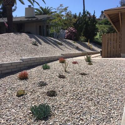 Rock bed and water saving desert plants