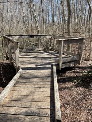 Dundery Brook Trail