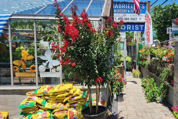 Gardening supplies & tools keep your space healthy. Soil, fertilizers, mulch & other gardening essentials will help your flower beds thrive.