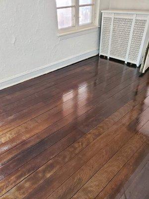 After - Alseb restored  water damaged 100-year old maple floors that had been under layers of carpet for at least 46 years.