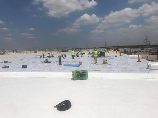 Commercial Roof Replacement