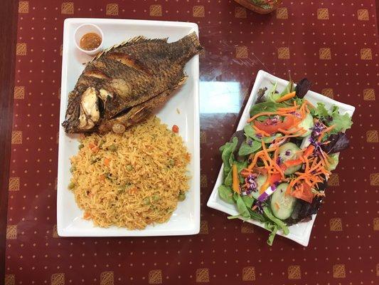 Tilapia with fried rice and salad.