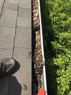 Gutters before cleaning