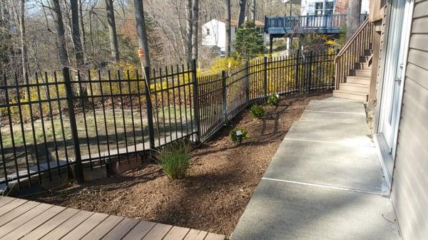 after planting & mulching