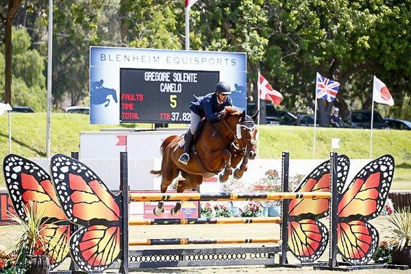 Gregoire Solente Stables