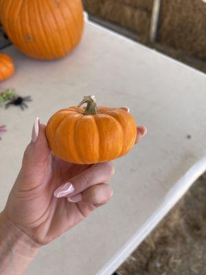 Little pumpkins too!