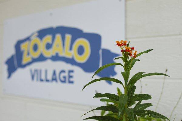 Zocalo Village