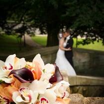 Wedding Kiss