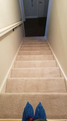 Amber Carpet Cleaning Service