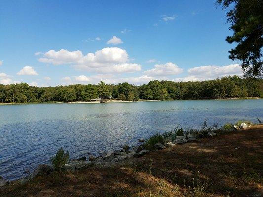 Craighead Forest Park Pavillion 6, Pond View.