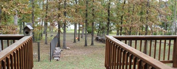 View from back deck overlooking Lake O' The Pines in East Texas