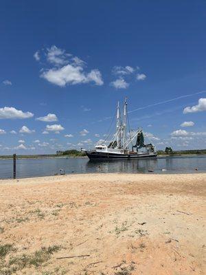 Shrimp Boat