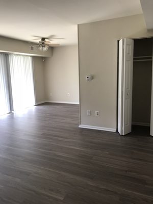 Apartment with plank flooring