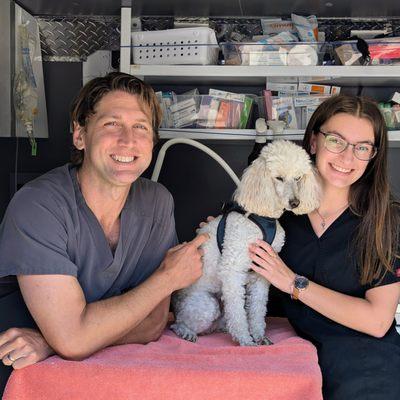 Veterinarian Dr Daniel Gutman DVM, miniature poodle Leroy and his assistant Lauren