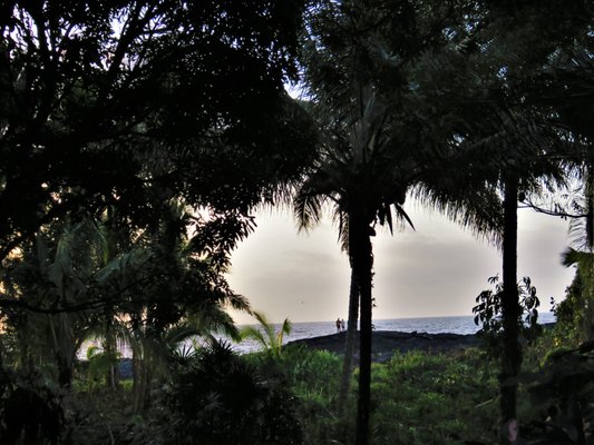 A view of the ocean from the grounds of the Oceanfront Bali Hut.