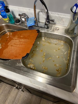 Gross sink backup in the middle of cooking dinner