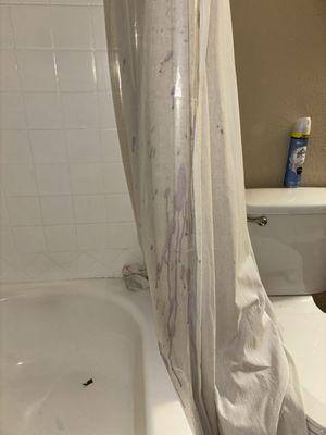 Shower curtain damage 2