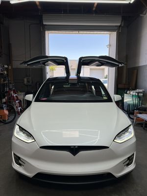 Tesla specialist, gull door roof glass replacement.