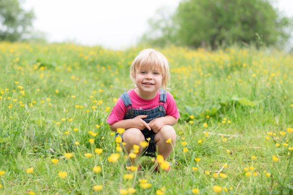 The buttercups on the farm bloom in May