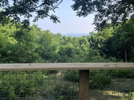 Enjoying the views from the back porch