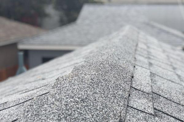 Bay Area Roofing Services