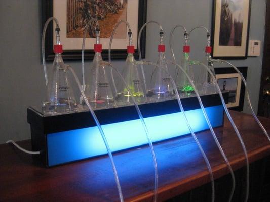 I loved the Oxygen Bar!  Infused with essential oils to help alleviate allergies, stress, headaches, hangovers, and much more.