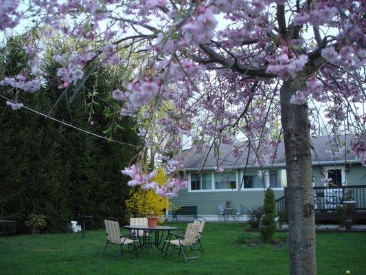 Springtime at the Catskill Motel