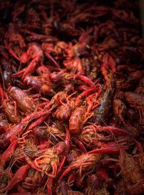 Juicy Head Crawfish